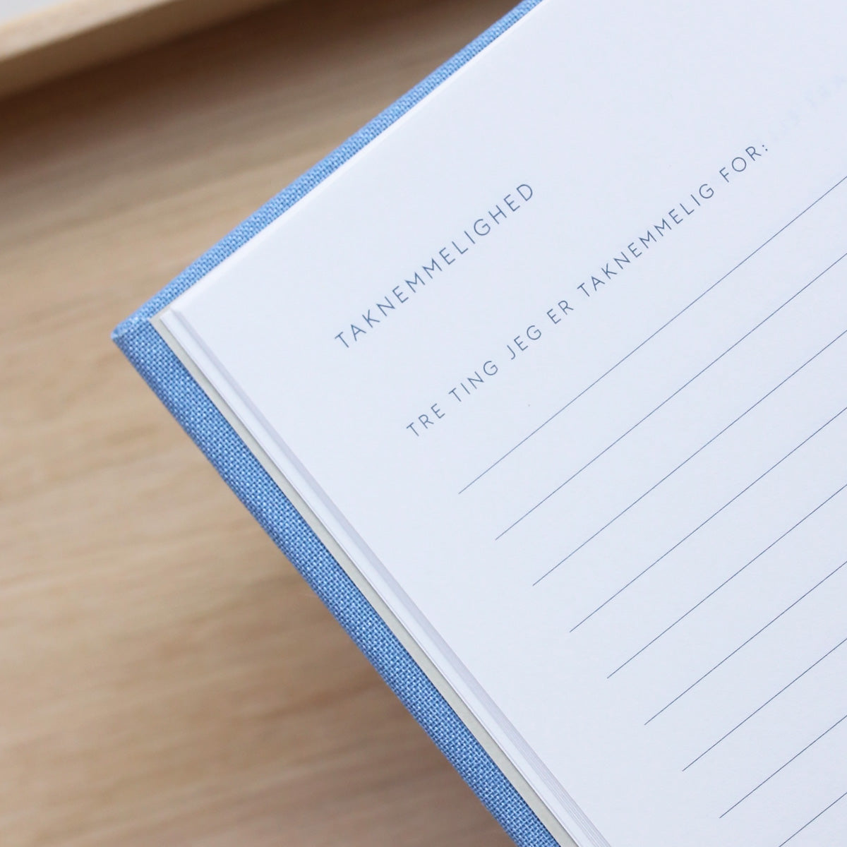 TAKNEMMELIGHEDSDAGBOG (DANISH)
