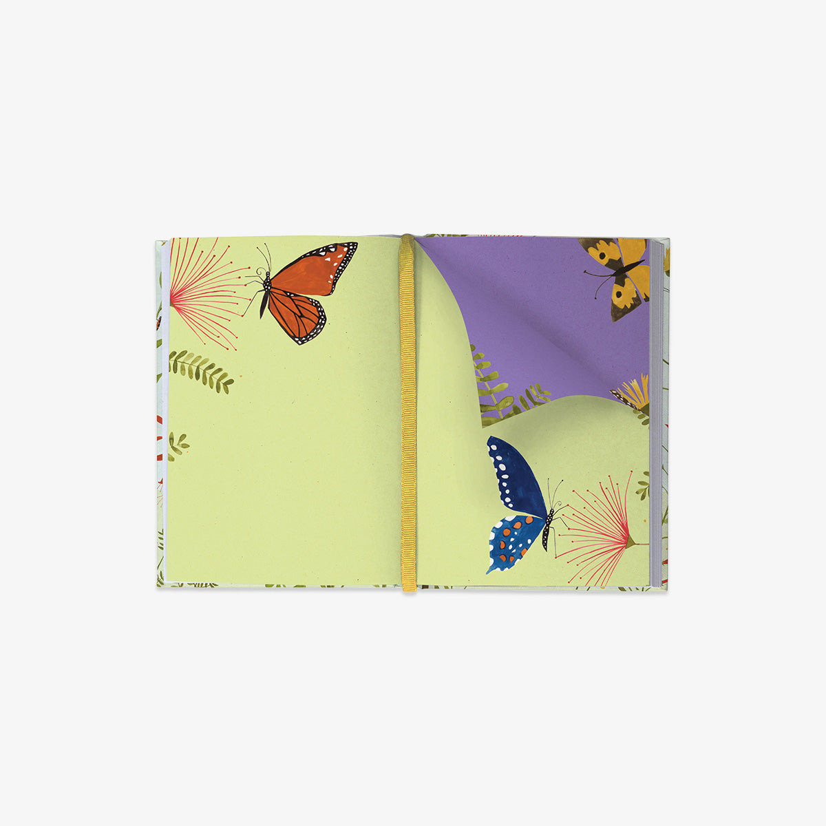 ILLUSTRATED JOURNAL // HUMMINGBIRD