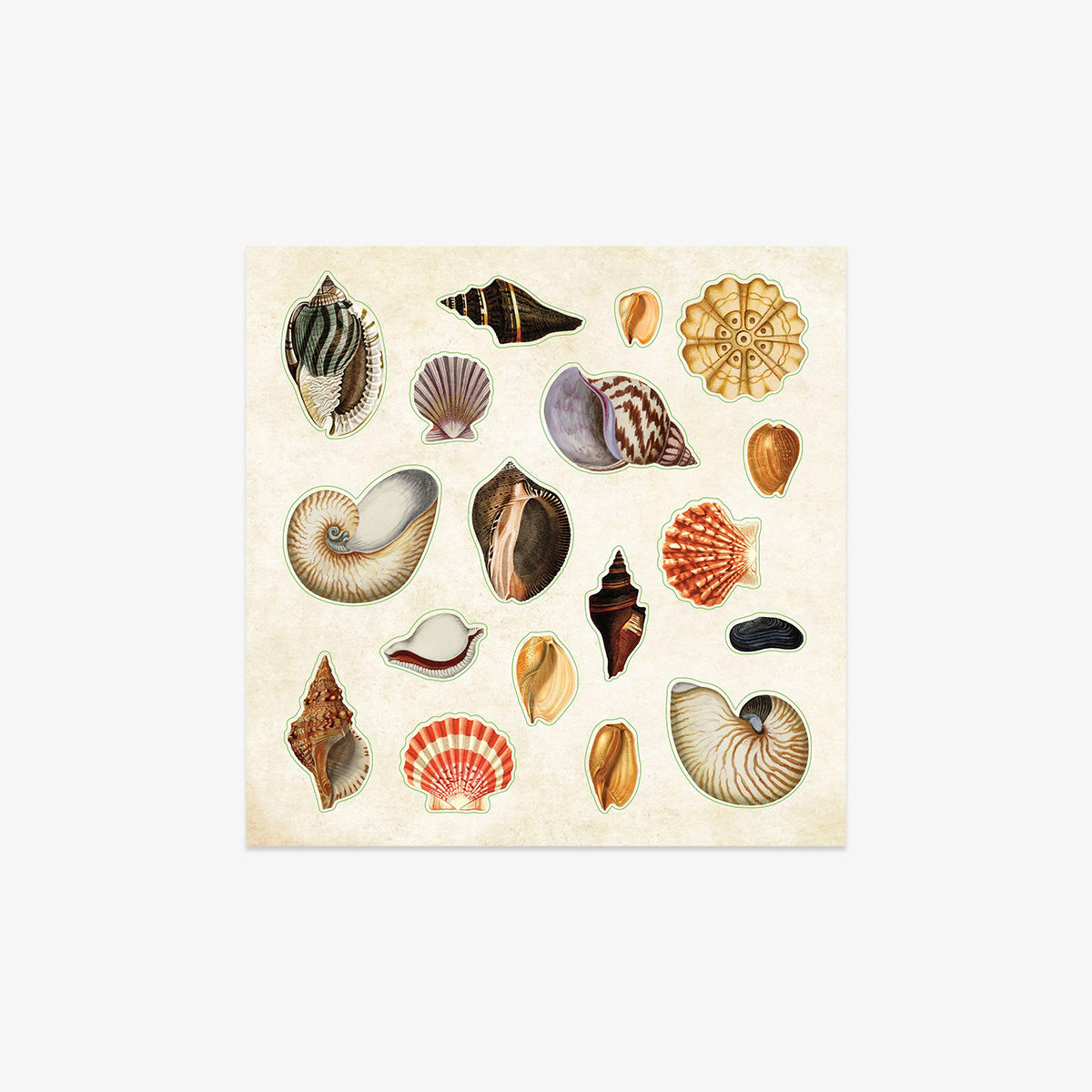 STICKER BOOK // POSEIDON'S KINGDOM