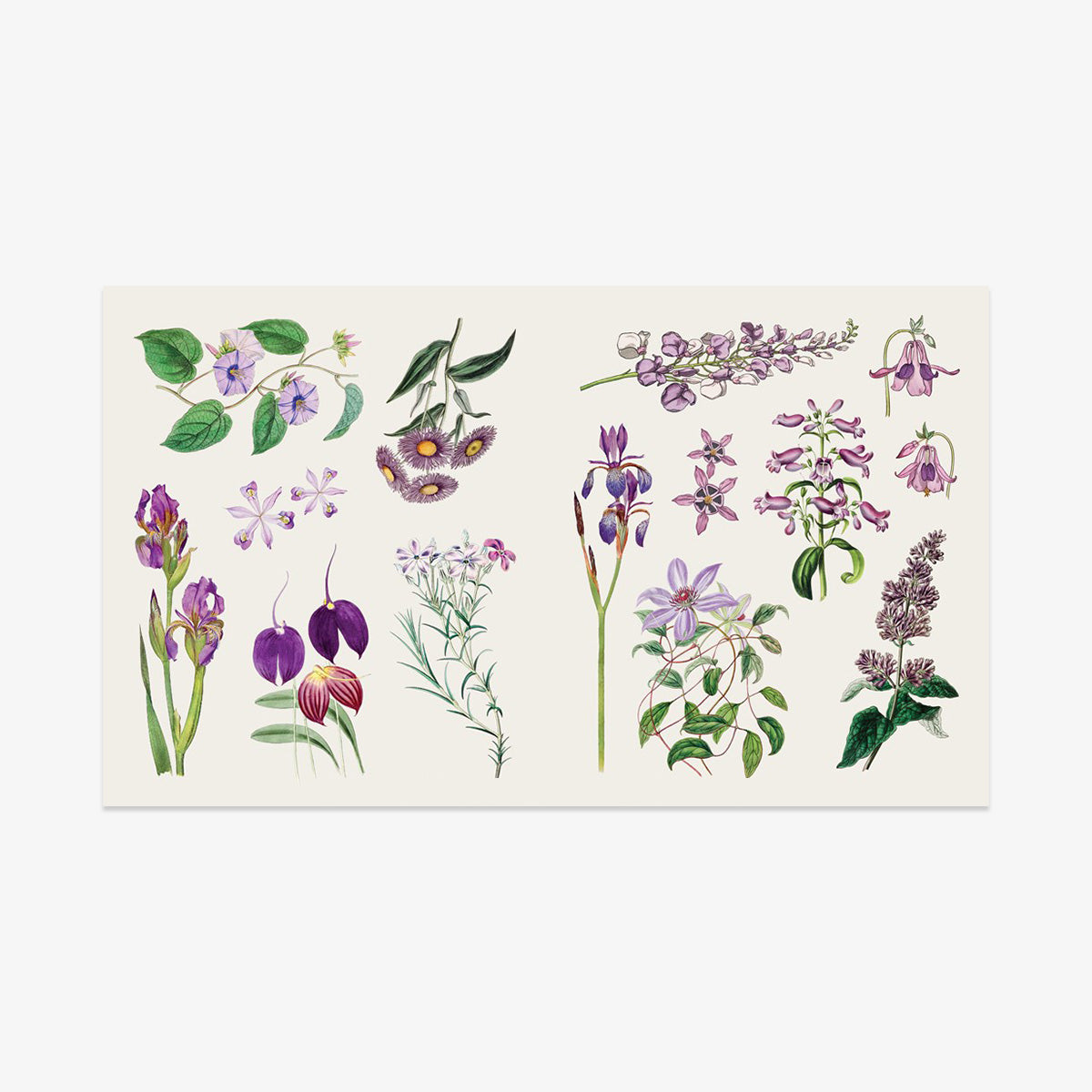 STICKER BOOK // BLOOMS AND BUTTERFLIES