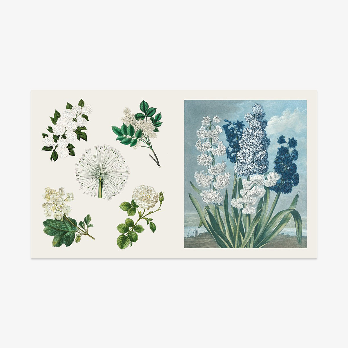 STICKER BOOK // BLOOMS AND BUTTERFLIES