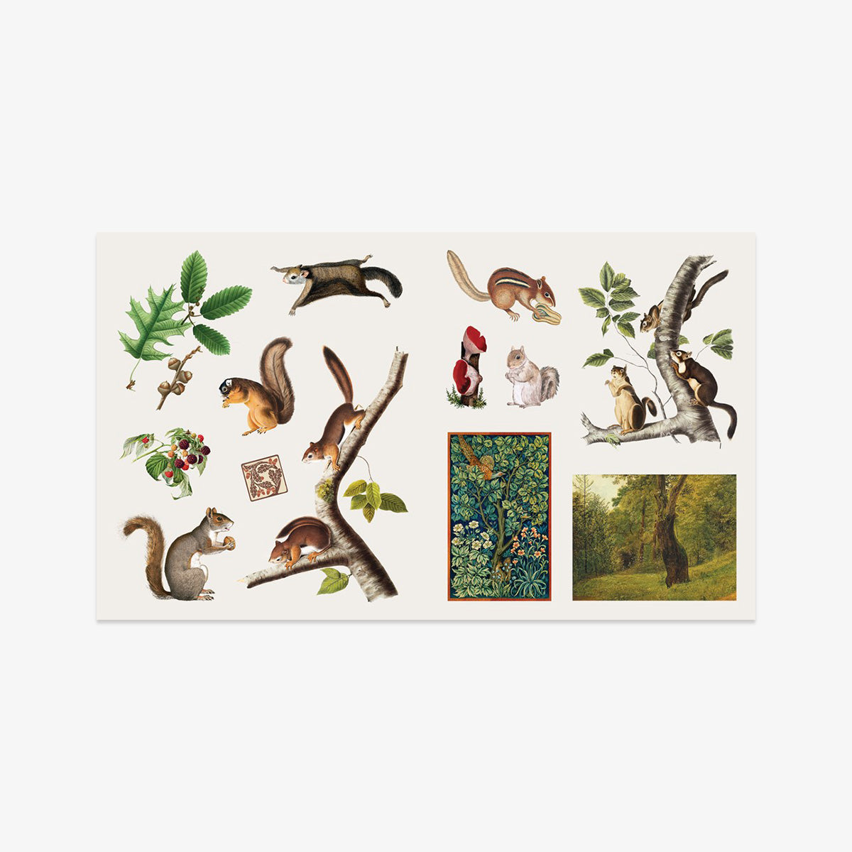 STICKER BOOK // WOODLAND ADVENTURES