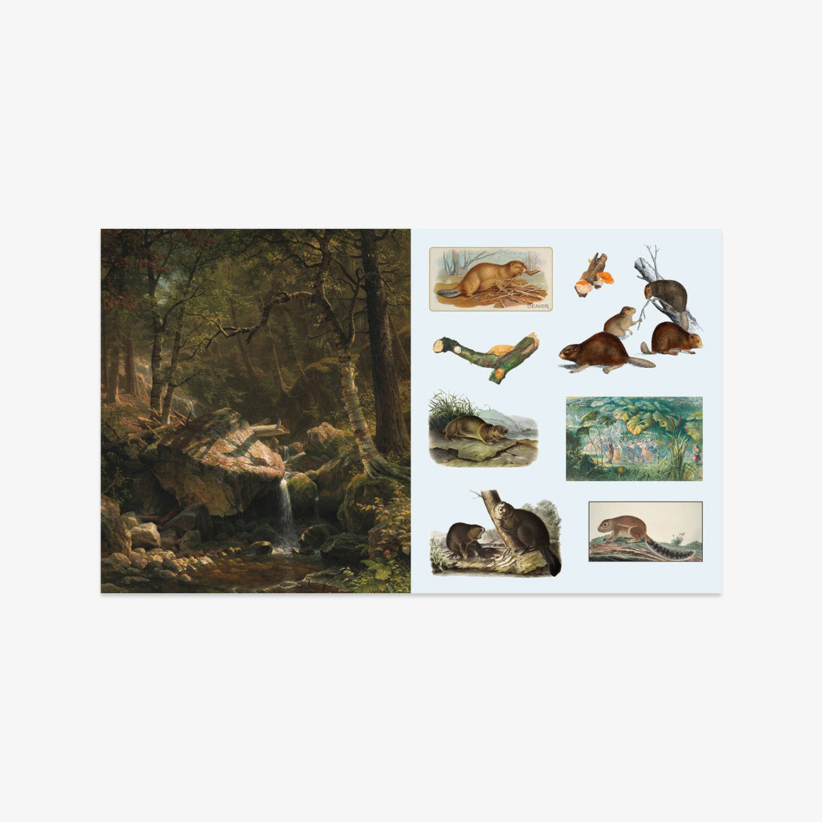 STICKER BOOK // WOODLAND ADVENTURES