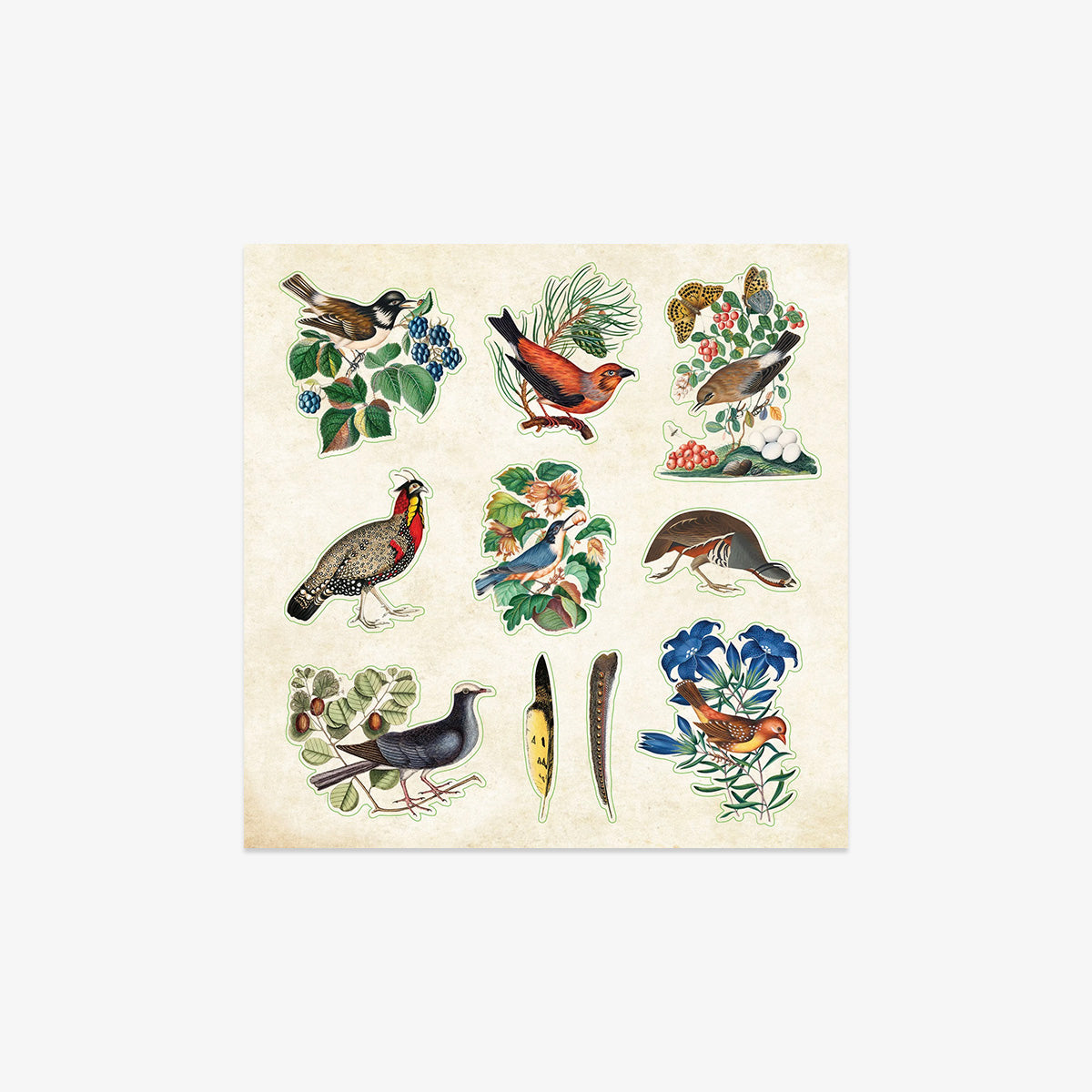 STICKER BOOK // ZOOLOGICAL EPHEMERA