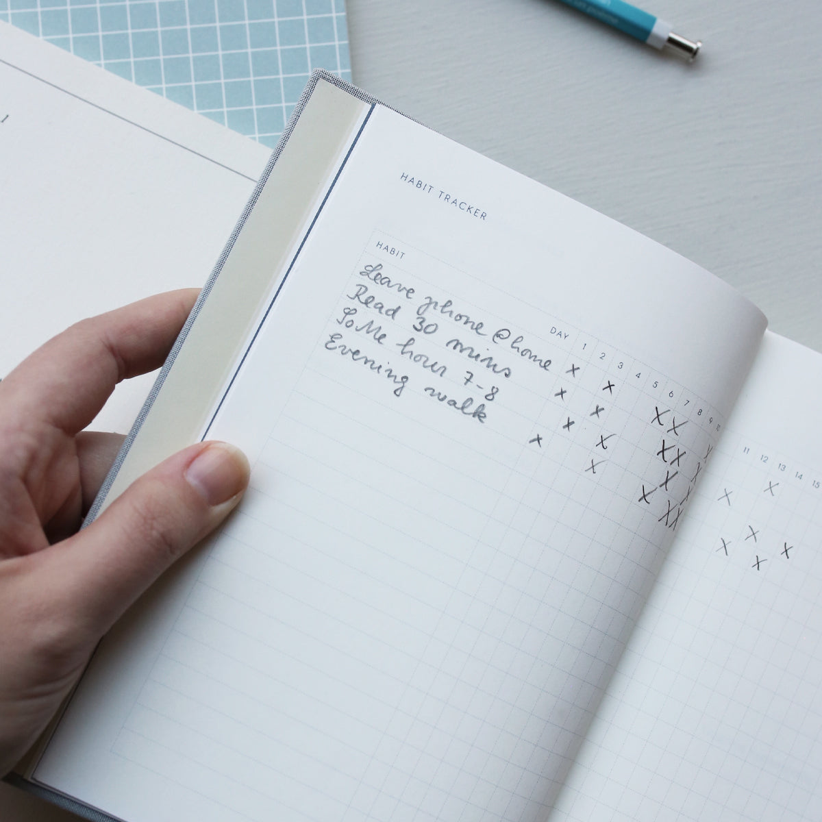 GOALS JOURNAL