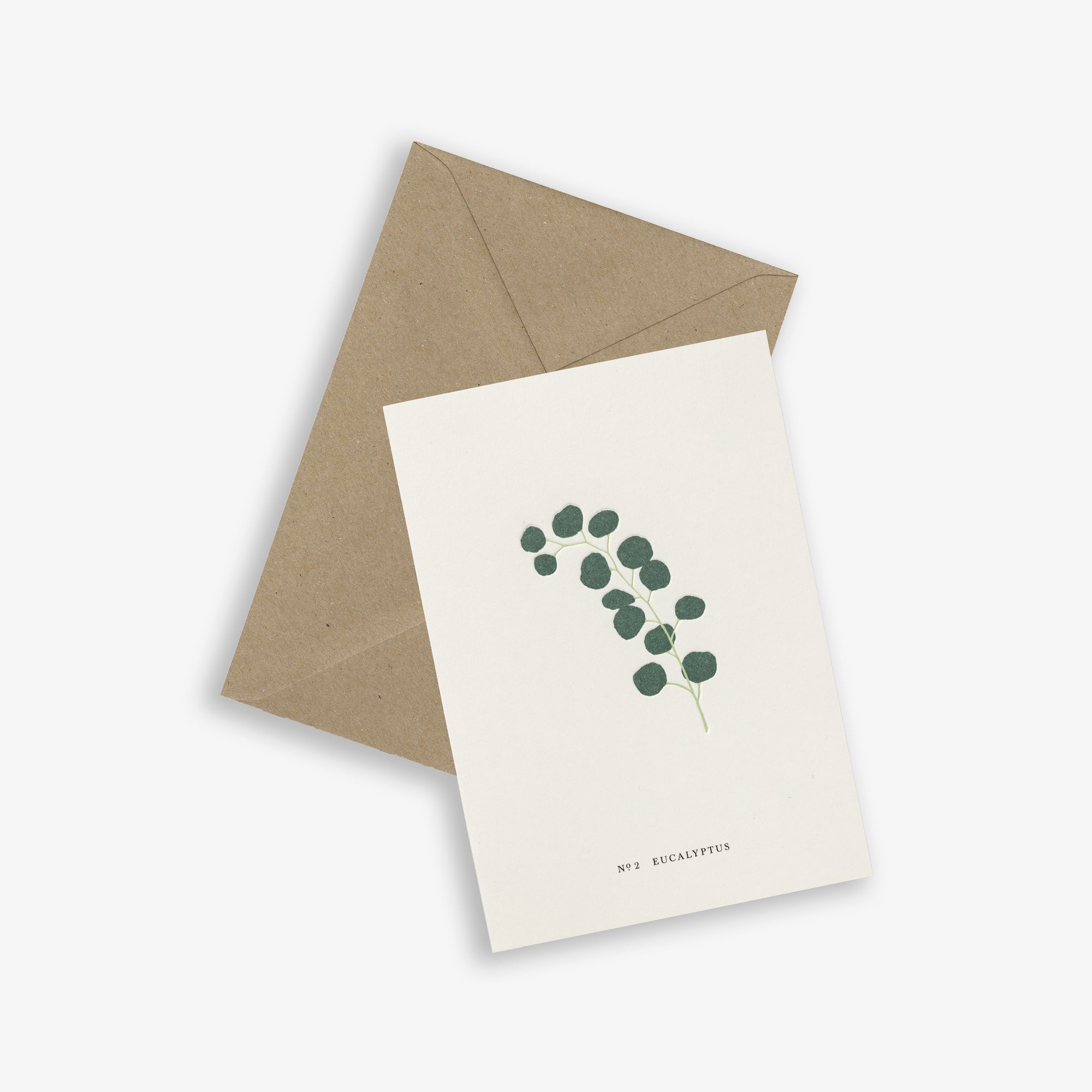 GREETING CARD // EUCALYPTUS