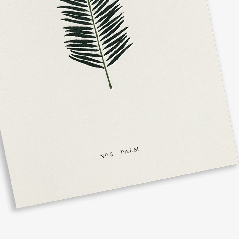 GREETING CARD // PALM