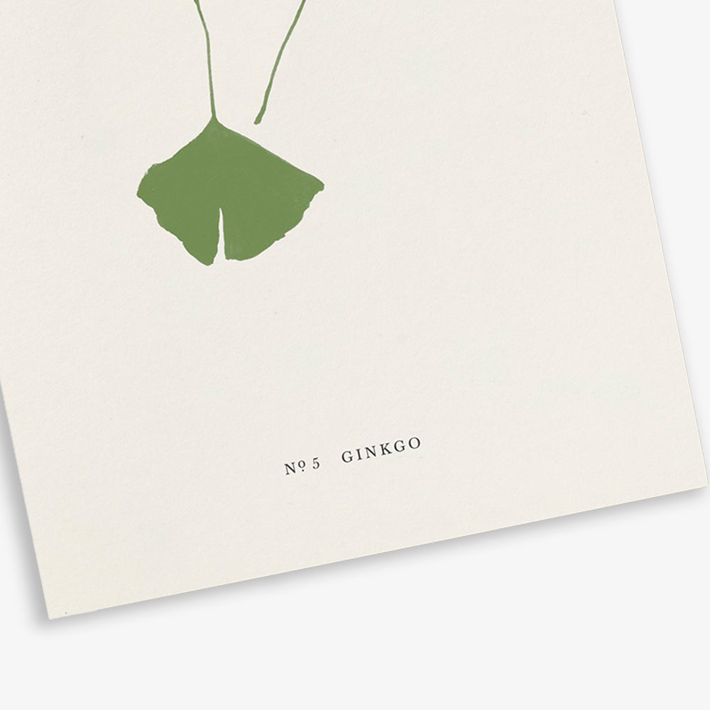 GREETING CARD // GINKGO