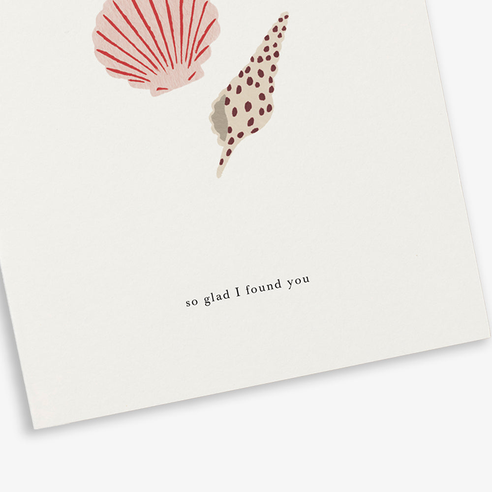 GREETING CARD // SEASHELLS