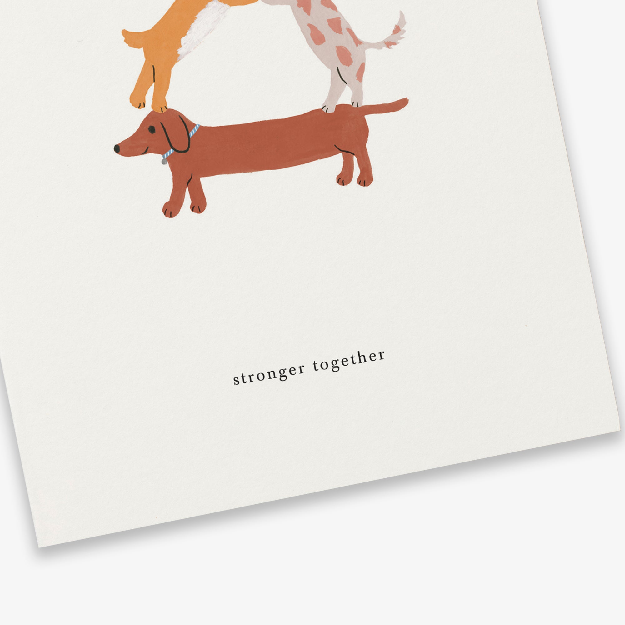 GREETING CARD // DOG FORMATION