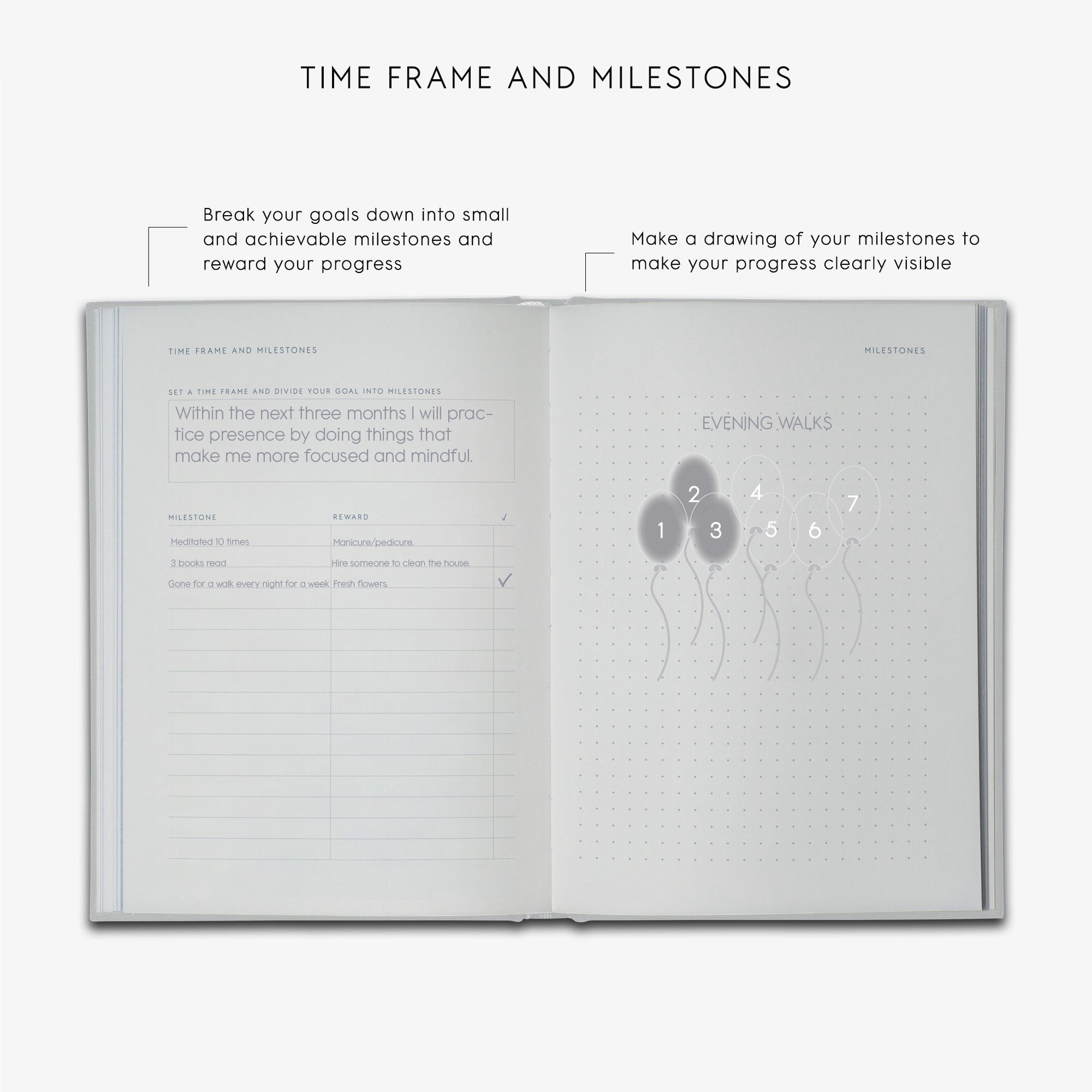 GOALS JOURNAL