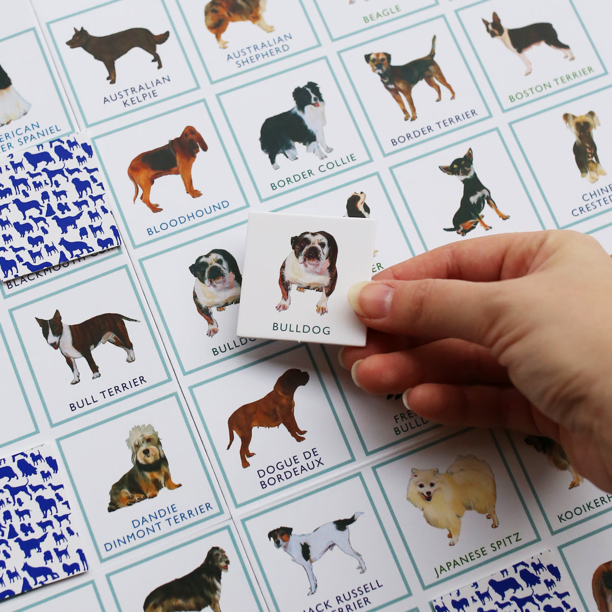 DOG BINGO