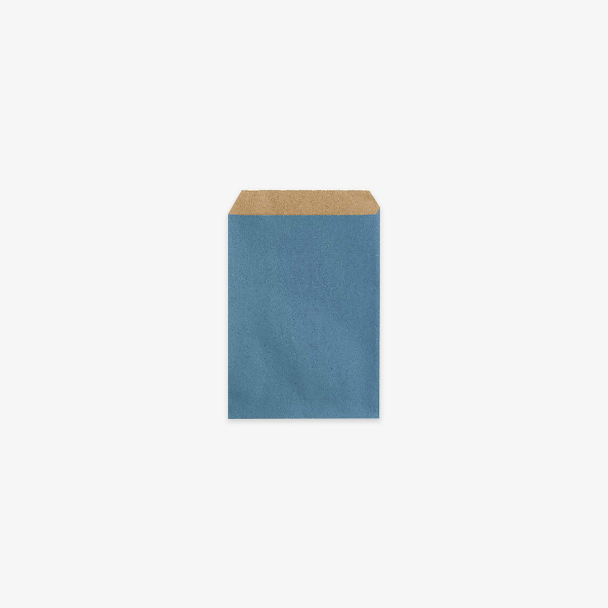 DUST BLUE PAPER GIFT BAG // S