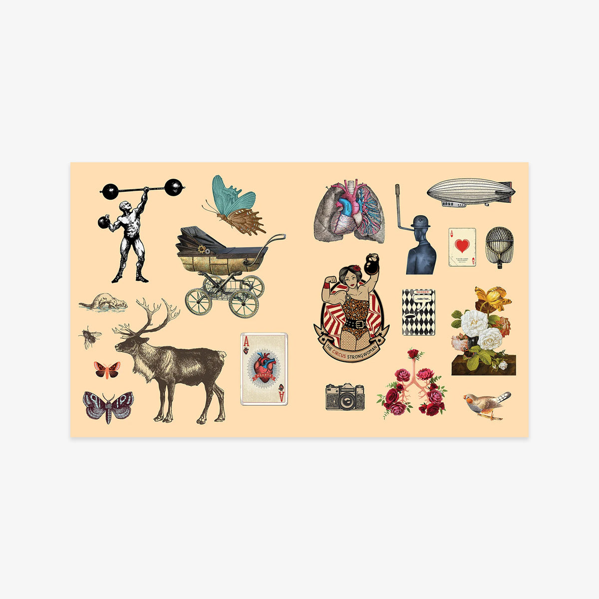 files/9781250279330_StickerBookArcana_02.jpg