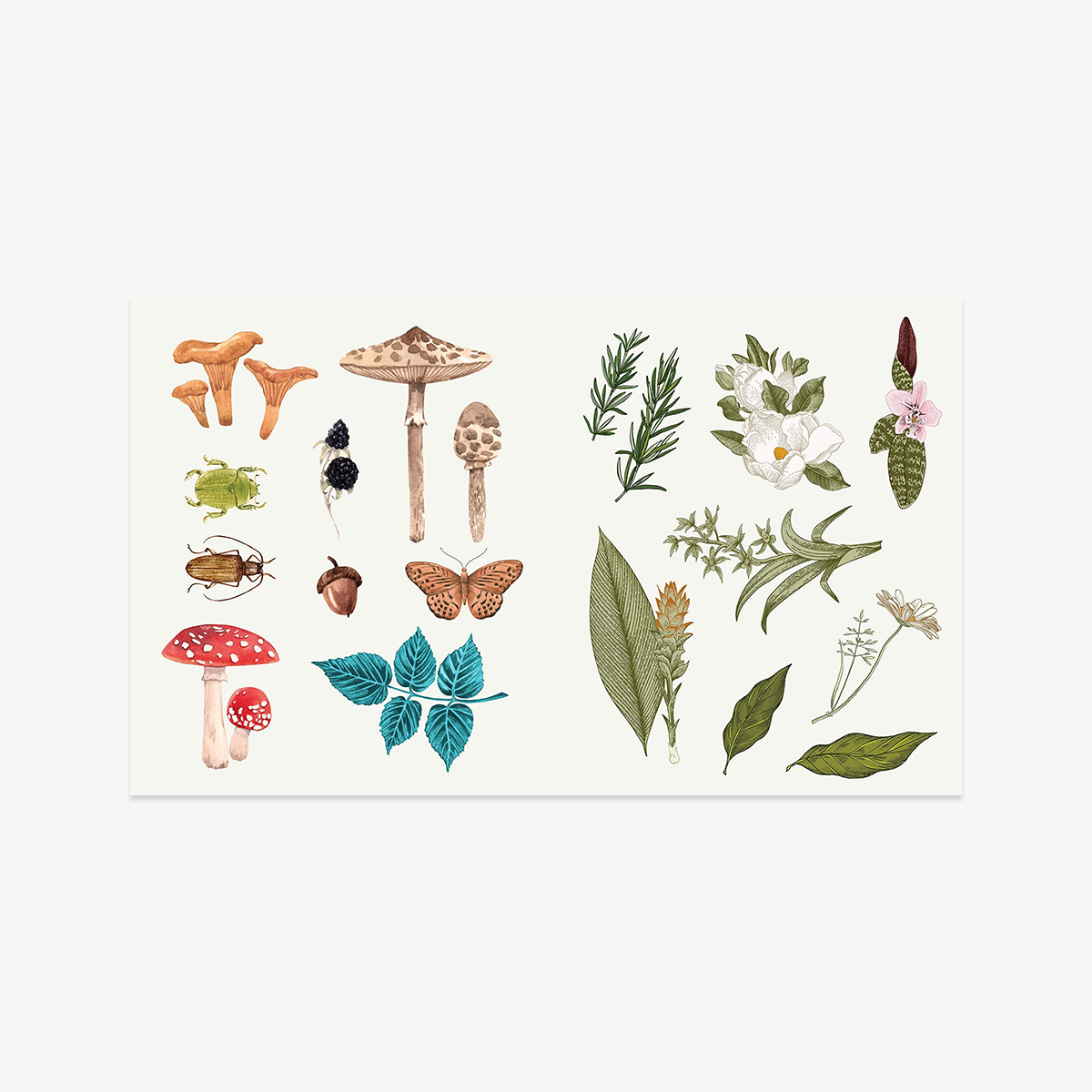 STICKER BOOK // APOTHECARY