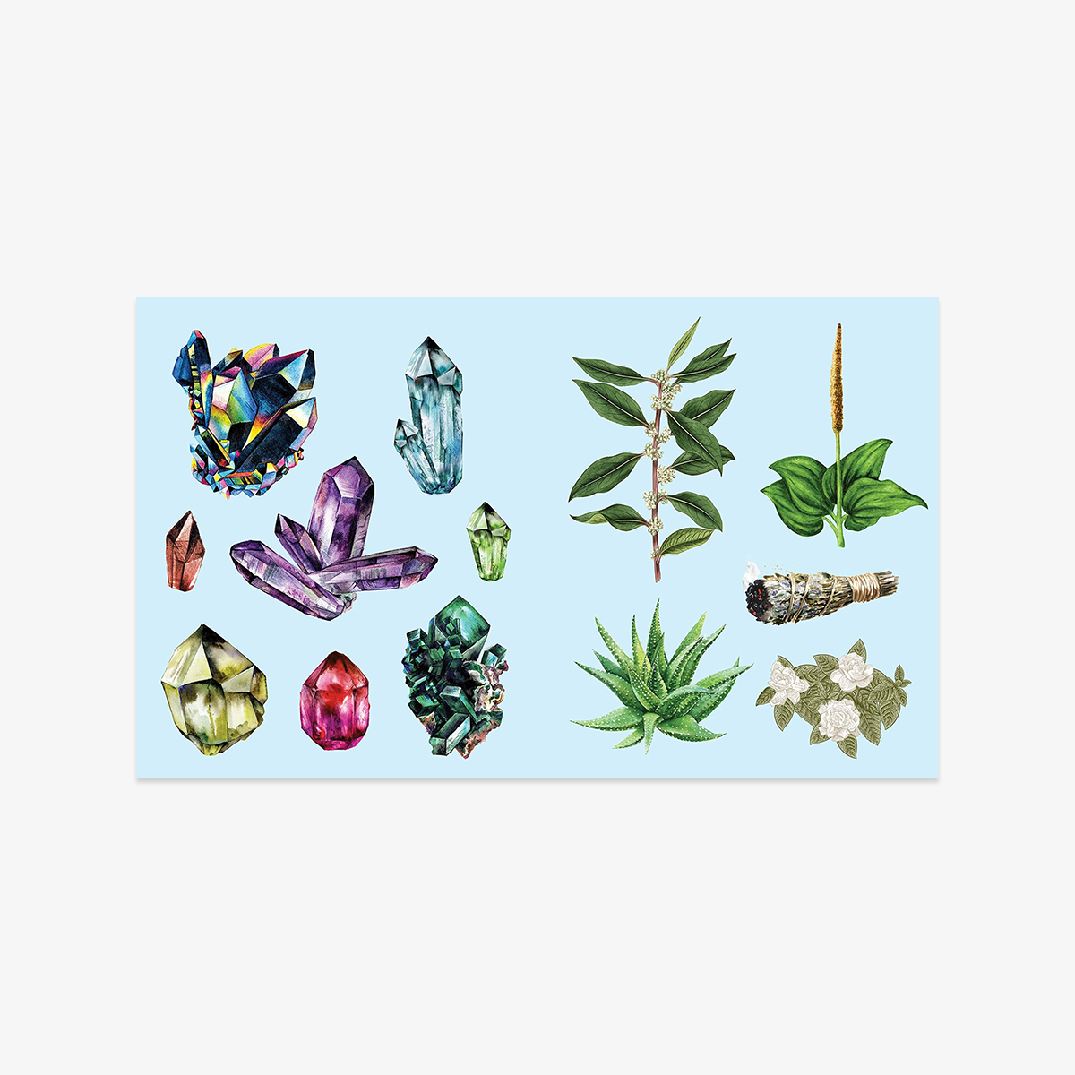 STICKER BOOK // APOTHECARY