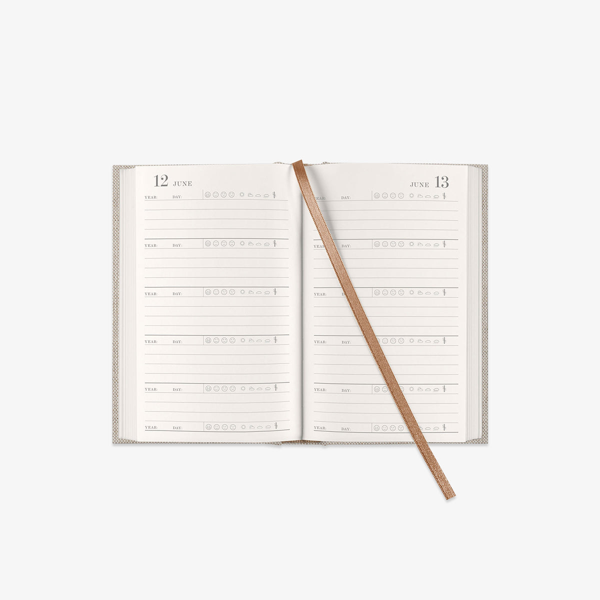 inside of a five year diary 