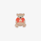 Vinyl sticker of a bear wearing glasses and an orange shirt with a rainbow on a white background