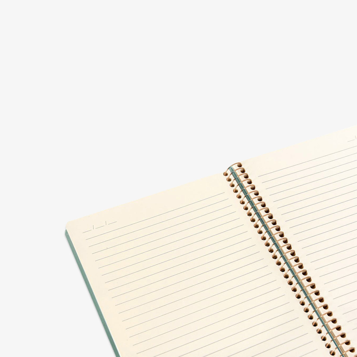 files/Kozo_A5Notebook_AloeVera_02.jpg