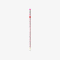 LEGAMI PENCIL // PANDA