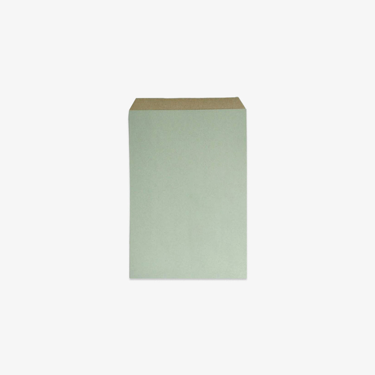 GREEN PAPER GIFT BAG // M