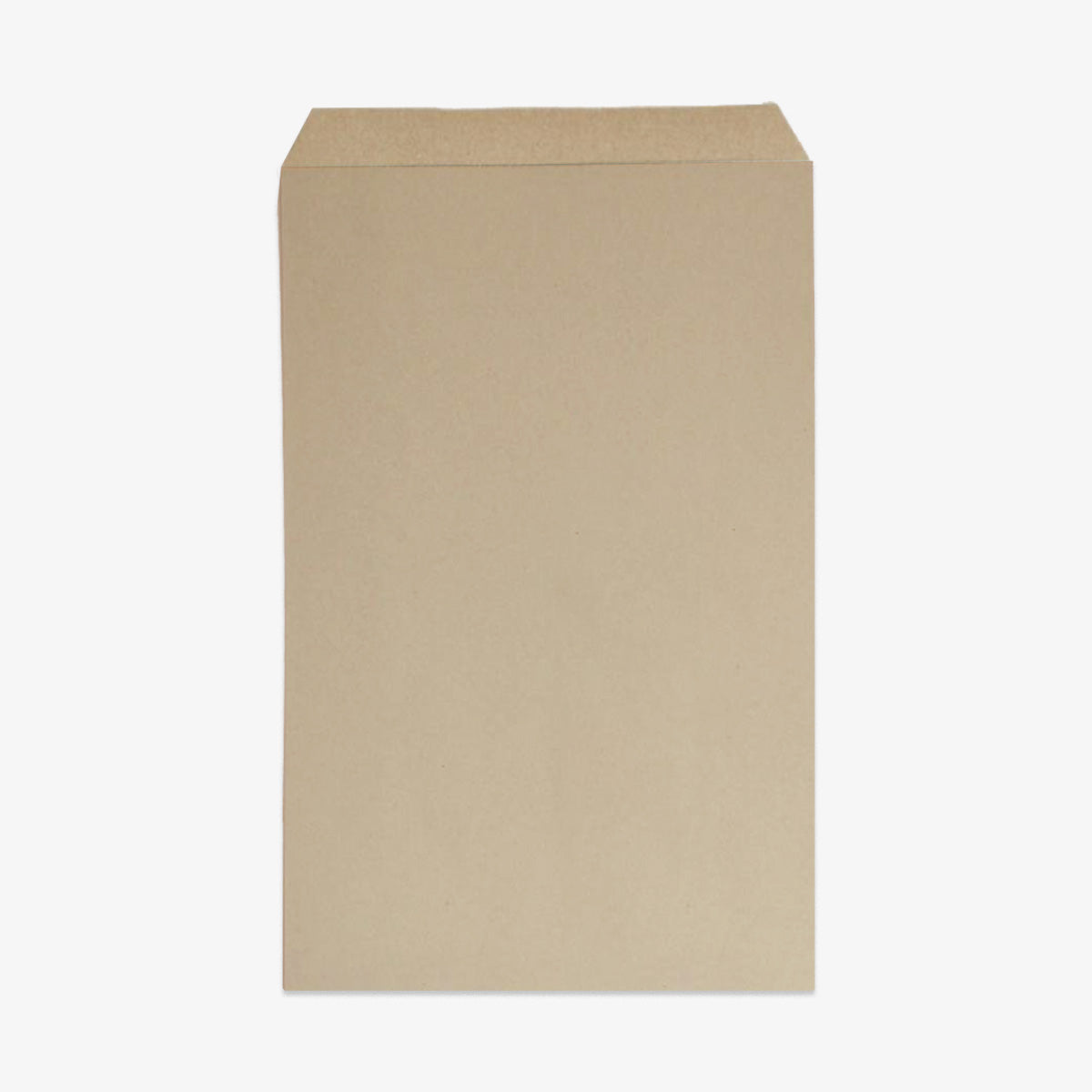 NATURE PAPER GIFT BAG // XL
