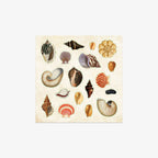 STICKER BOOK // POSEIDON'S KINGDOM