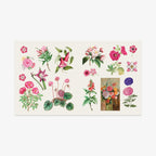 KLISTERMÆRKEBOG // BLOOMS AND BUTTERFLIES
