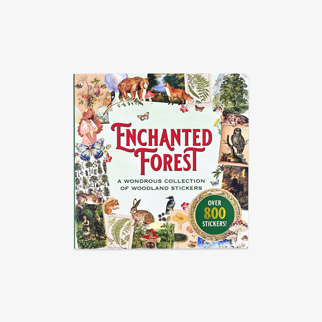 KLISTERMÆRKEBOG // ENCHANTED FOREST
