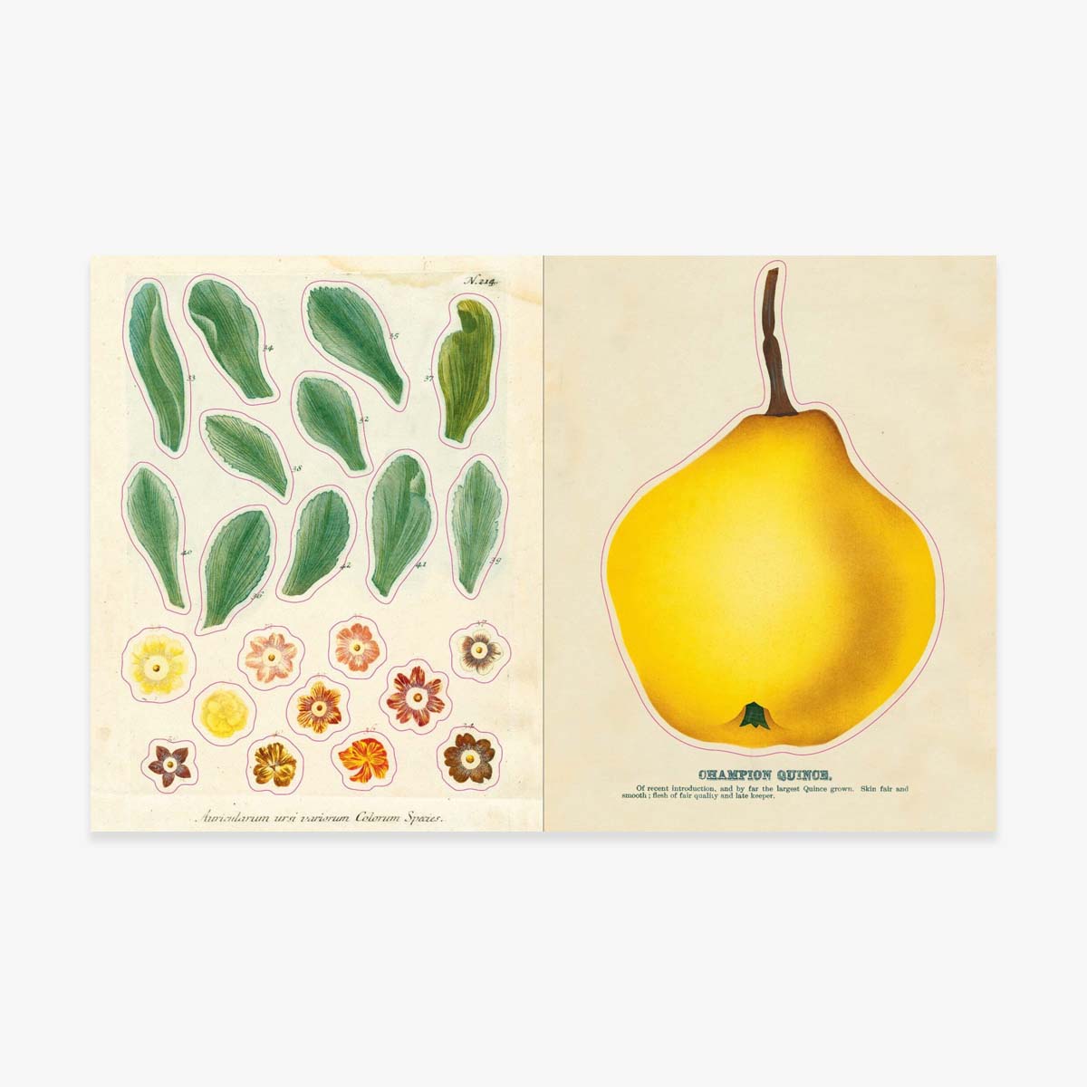 BOOK 'JOHN DERIAN STICKER BOOK'