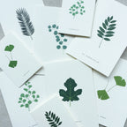 SMALL GREETING CARD // GINKGO