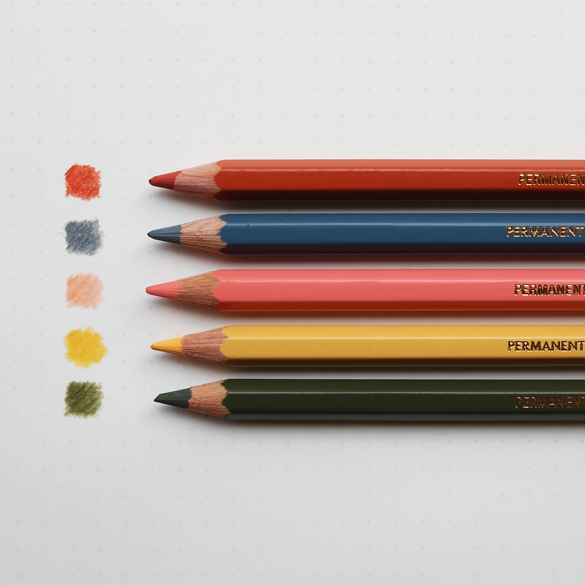 PABLO COLOURED PENCIL // OLIVE BLACK